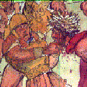 Jesus beard being torn